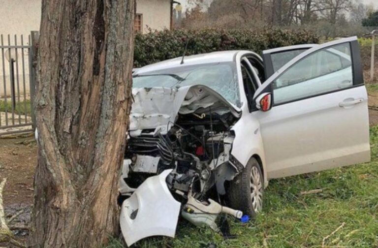 Auto finisce contro un albero