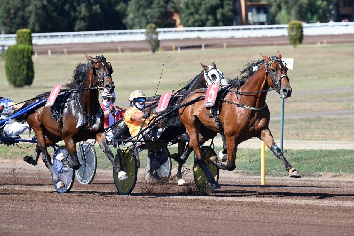 Trotto protagonista sabato a Capannelle