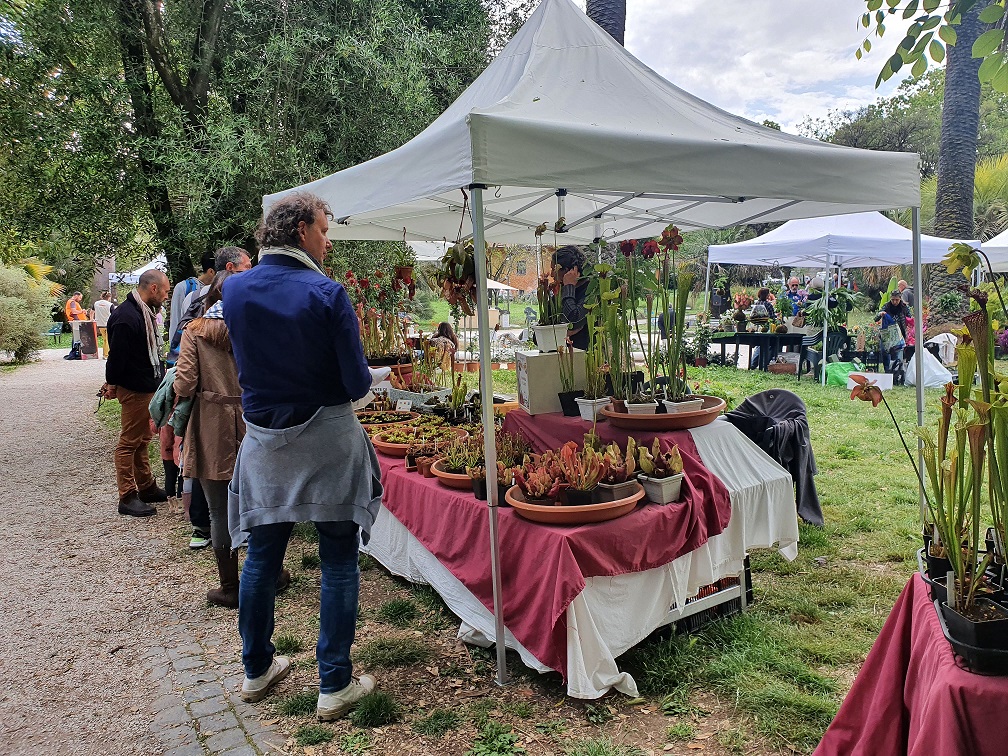 Era Di Maggio 2023 al Museo Orto Botanico