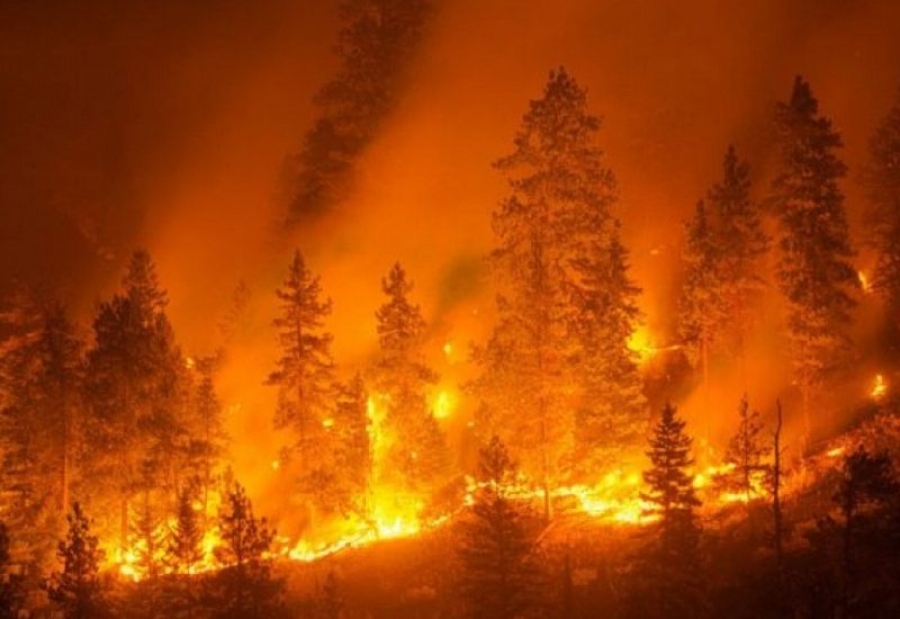 Incendio dentro il ristorante