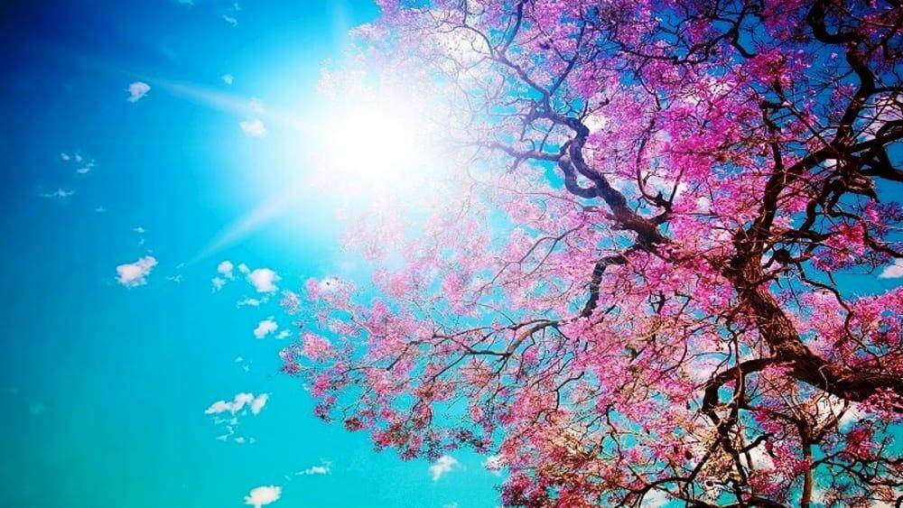 Meteo piu' sole a Pasquetta