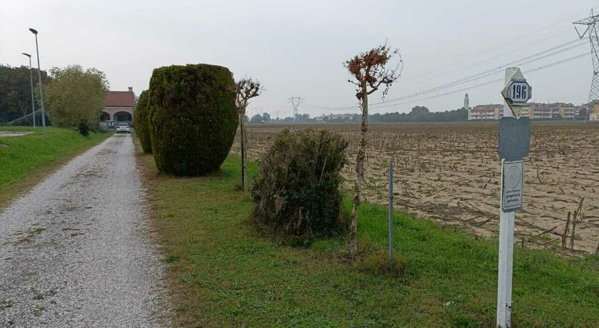 Muore schiacciato da motozappa