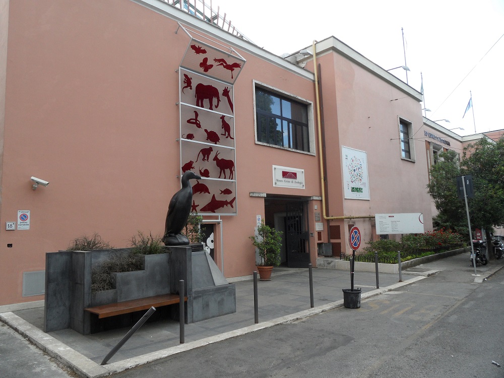 Il Museo di Zoologia alla City Nature Challenge