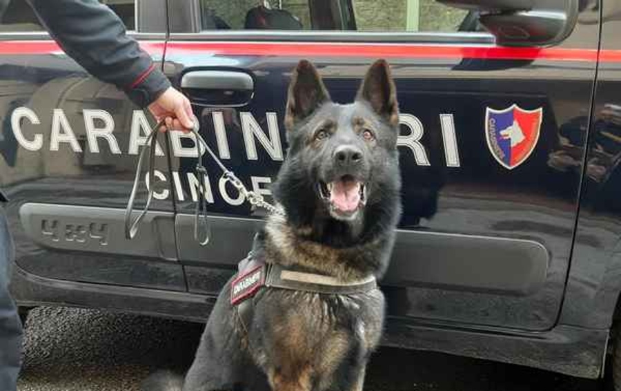 Cara smaschera due spacciatori a Zagarolo