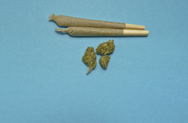 Nelle scuole medie il 4% degli studenti fa uso di cannabis