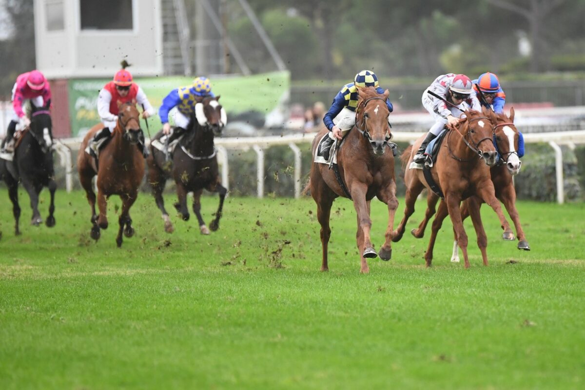 Galoppo ancora di scena all’Ippodromo Capannelle