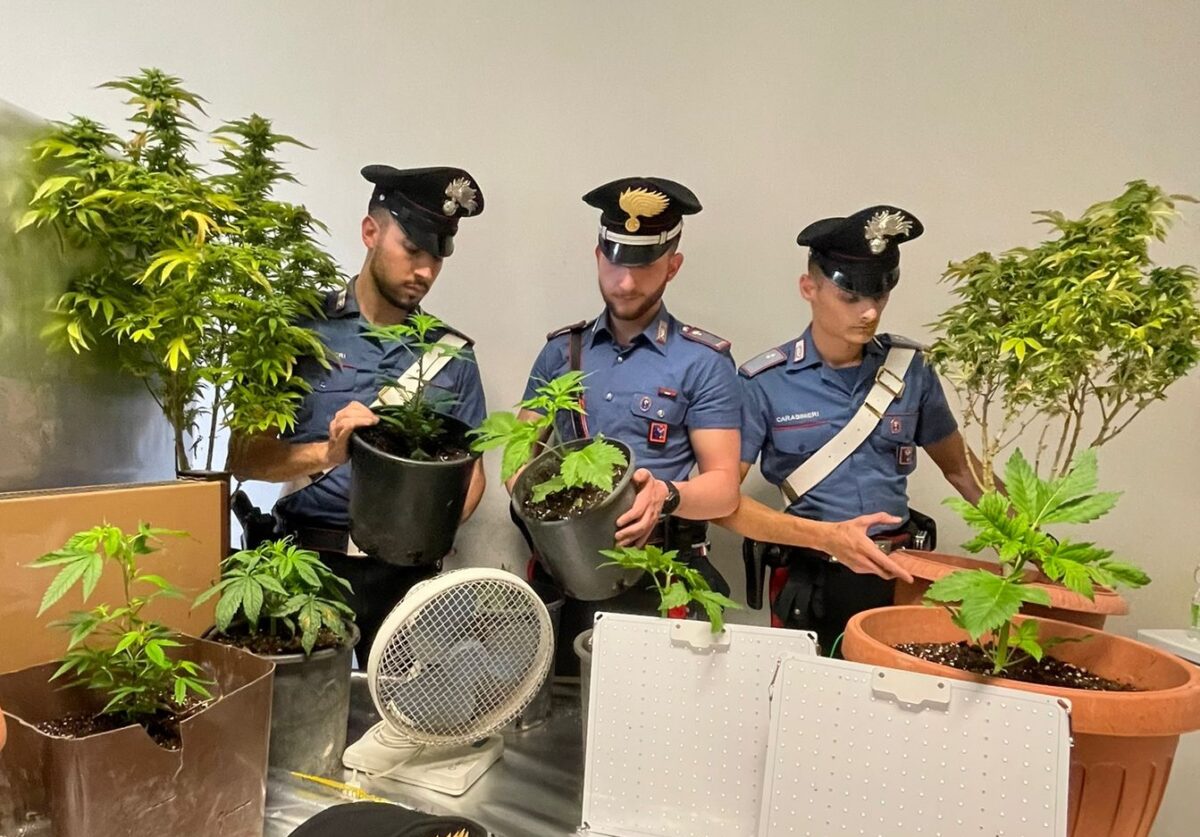 Blitz antidroga con nove arresti dei Carabinieri