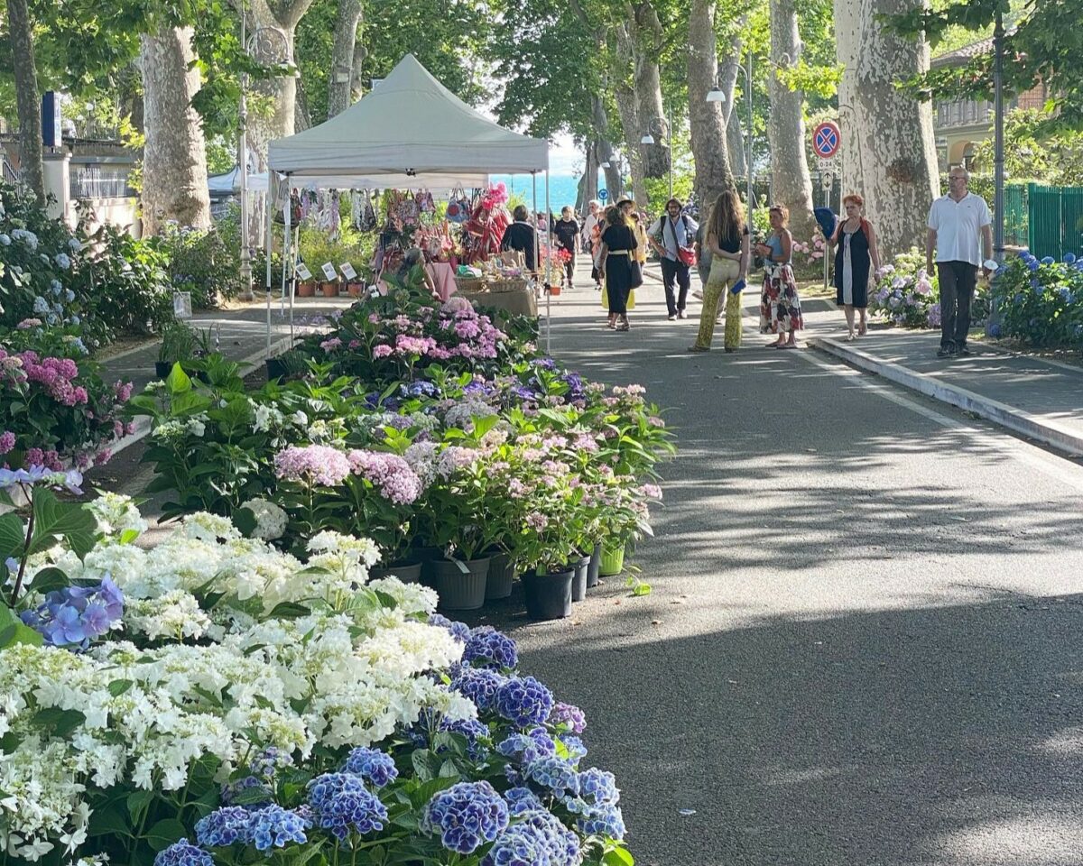 A Bolsena la Festa delle Ortensie dal 16 al 18 giugno