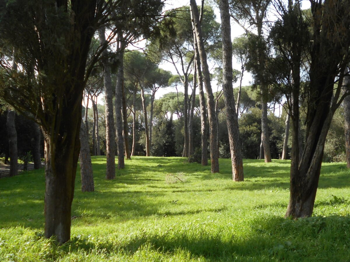 Parco della Rimembranza