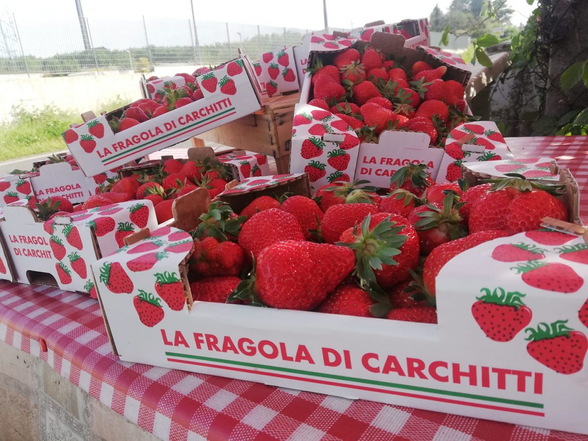 Sagra delle fragole di Carchitti