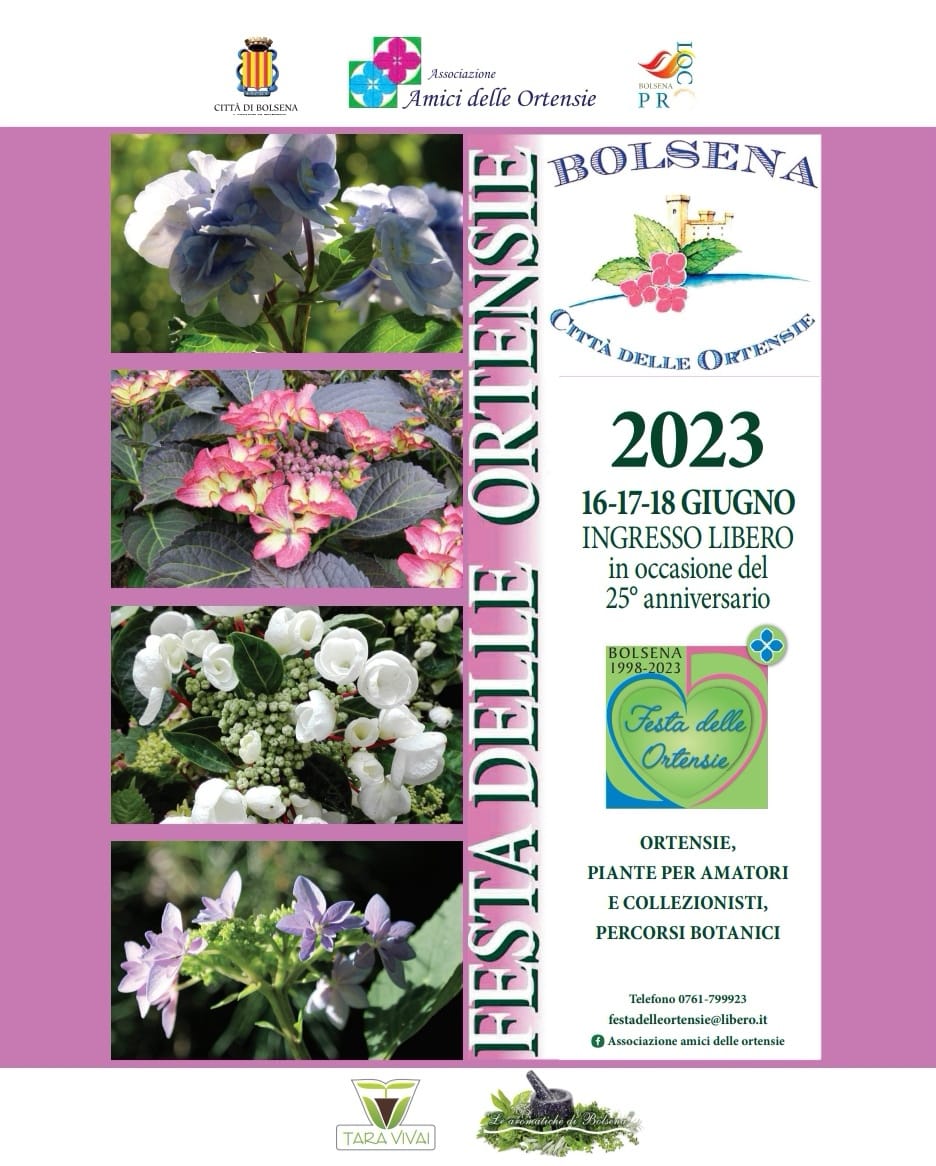 Festa delle Ortensie, dal 16 al 18 giugno, a Bolsena
