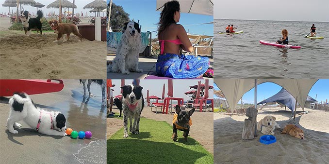 Baubeach compie un quarto di secolo con il Festivalbau