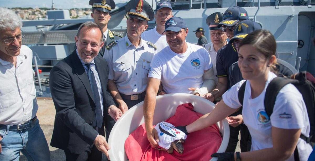 Lazio Regione delle tartarughe marine