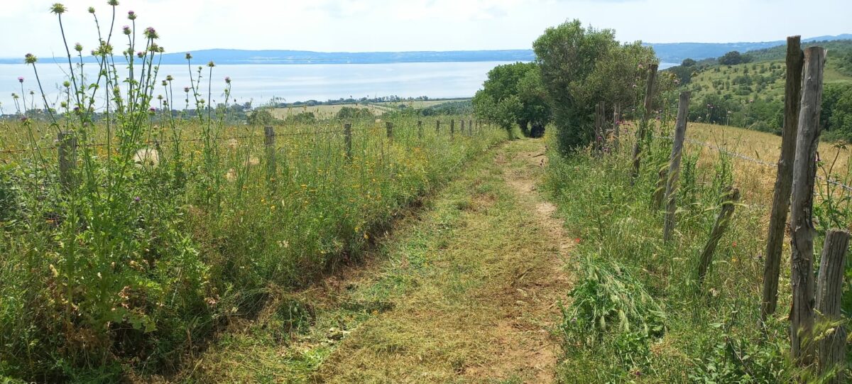 Lavori nel Parco Naturale Bracciano-Martignano