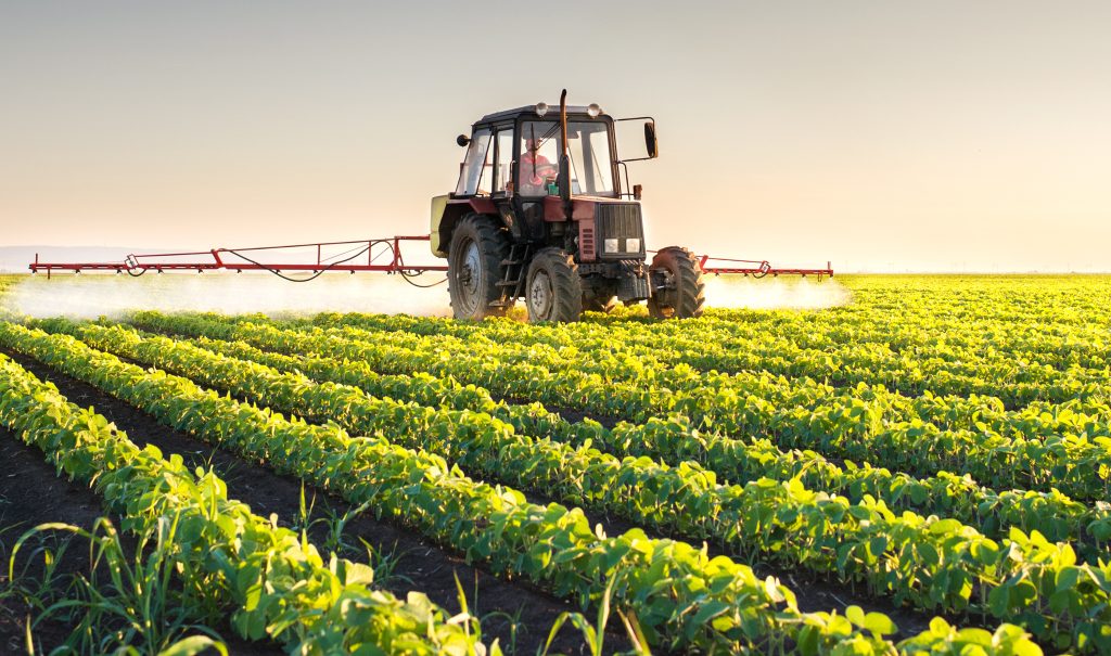 Nuovo record per le esportazioni di cibo Made in Italy nel 2024