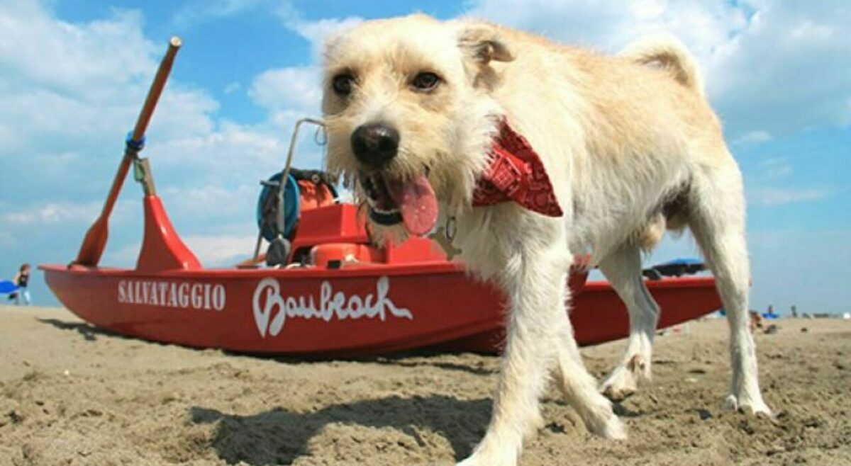 Al Baubeach di maccarese