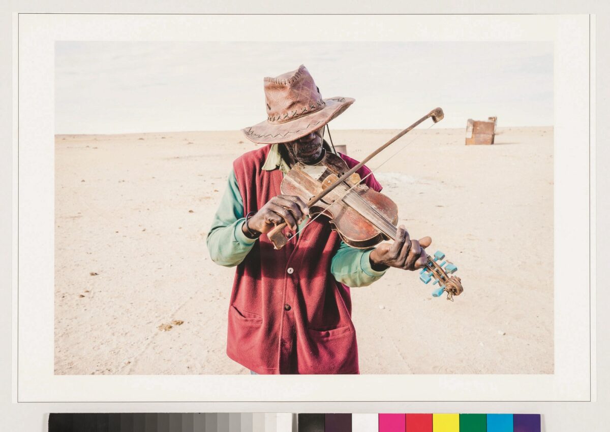 L’Art Forum Würth Capena presenta Etosha Wild Party