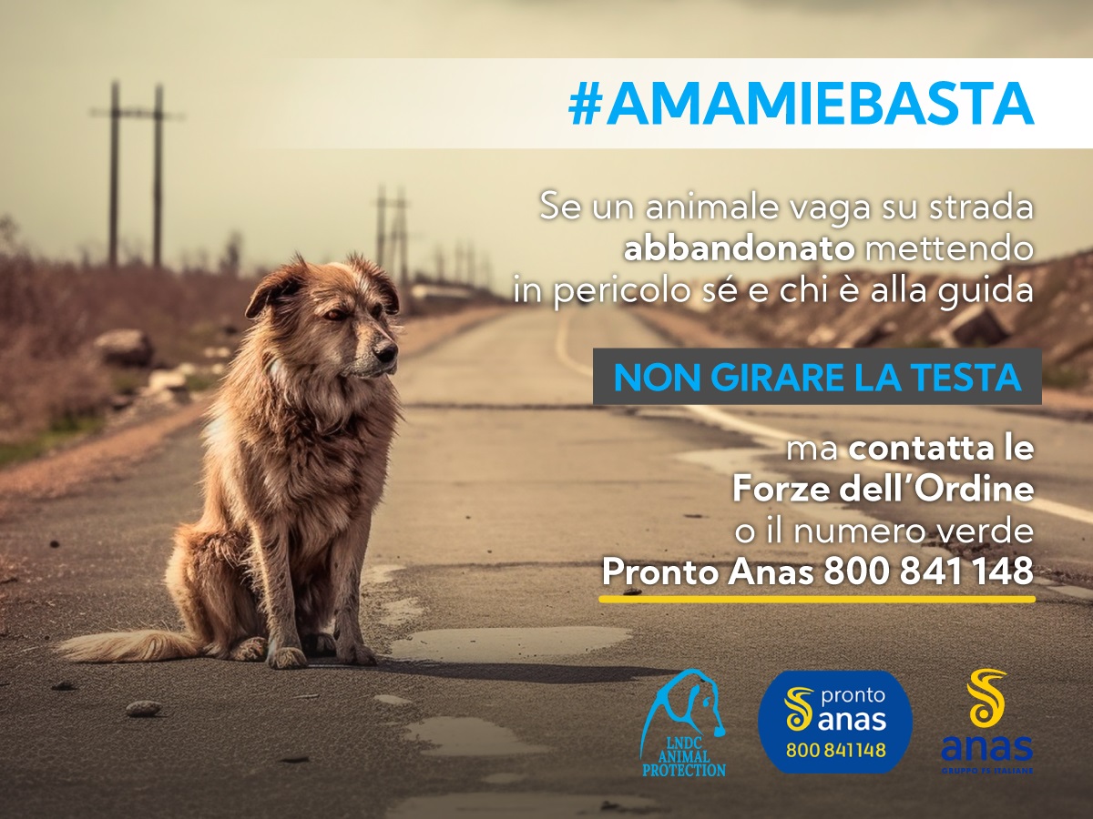 #AMAMIeBASTA con LNDC Animal Protection e Anas