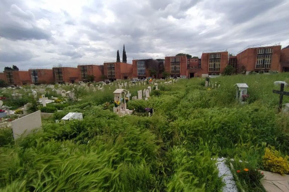 Cimitero di Prima Porta infestato
