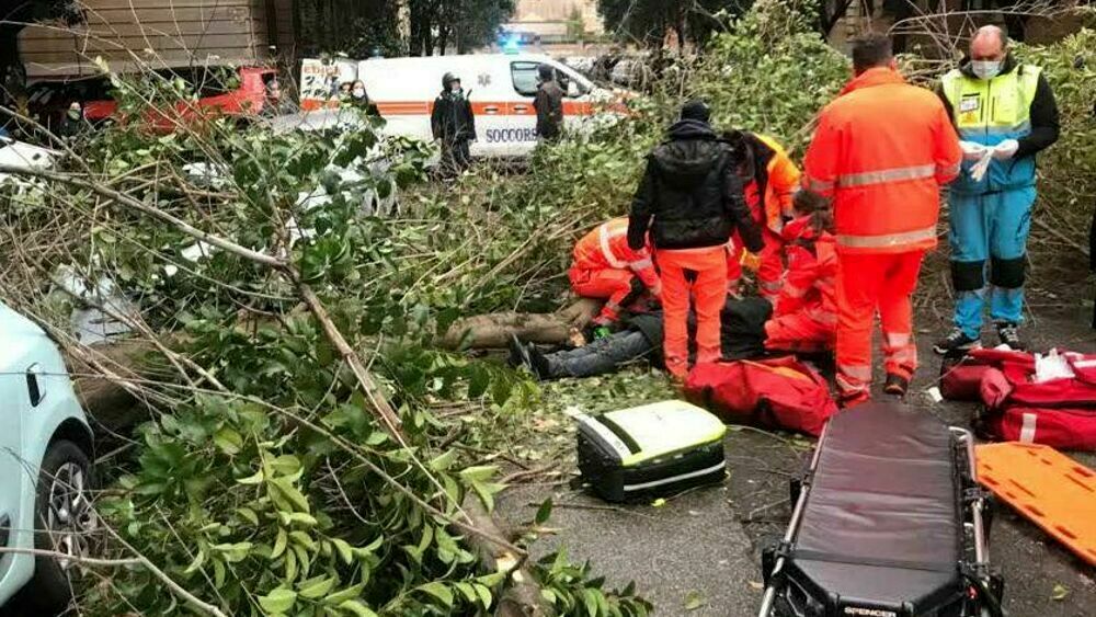 Colpito alla testa da un ramo