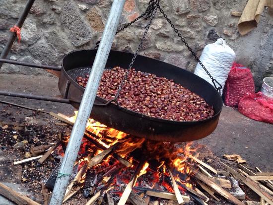 Sagra delle castagne a Soriano