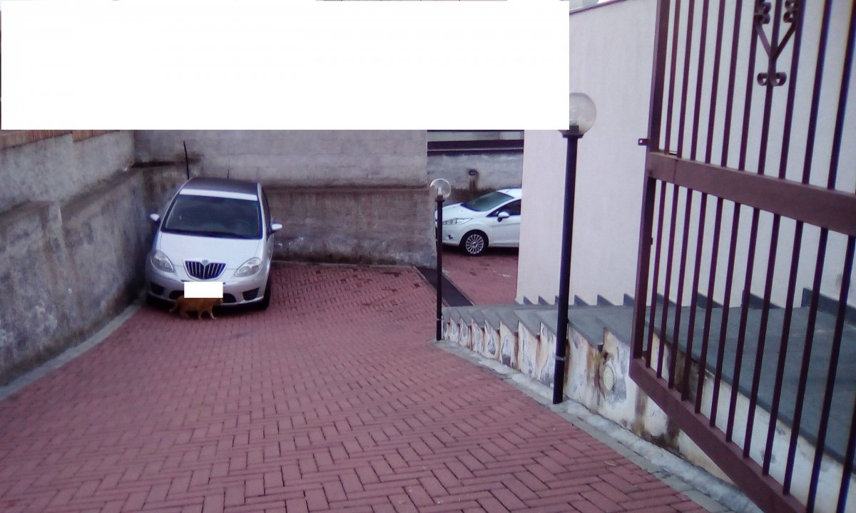 Ladro tenta furto nei garage