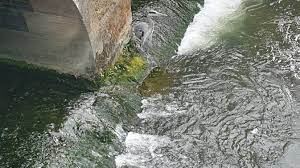 Minaccia di gettarsi nel Tevere