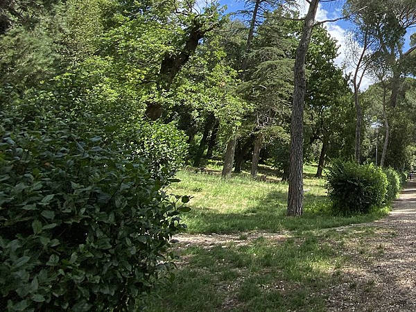 “Urban Nature”, la festa WWF della Natura in città, il 7 e l'8 ottobre