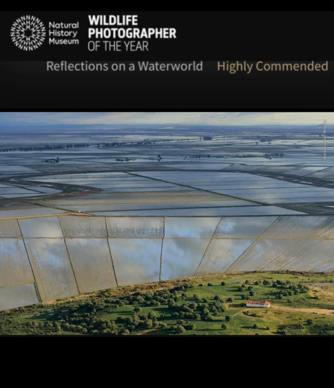 La fotografa Barbara Dall'Angelo tra le vincitrici del “Highly Commended”
