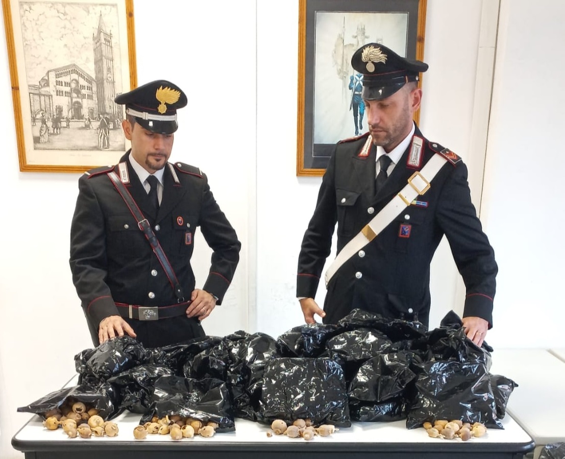Indiano 47enne arrestato ad Anzio per spaccio di stupefacenti