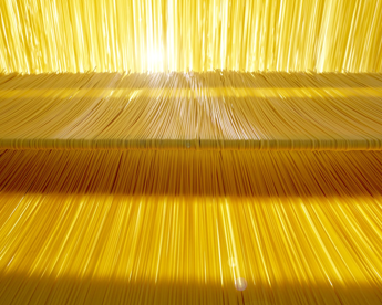 Filiera Pasta nasce all’interno di Filiera Italia