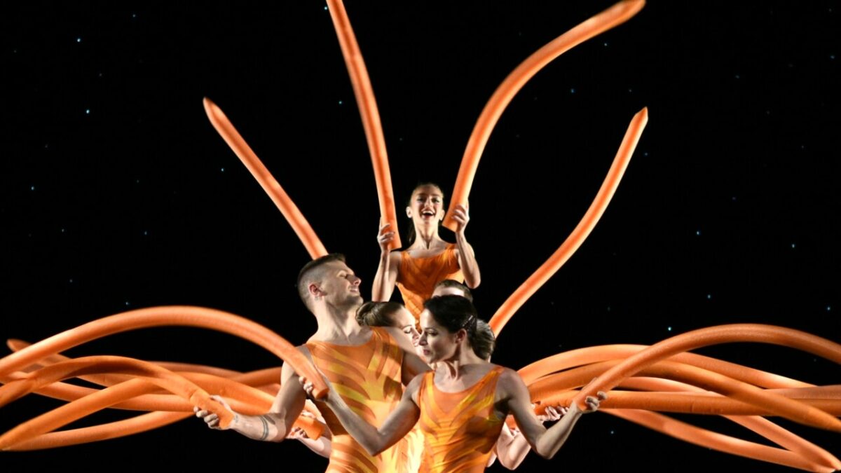 Back to Momix al Teatro Olimpico