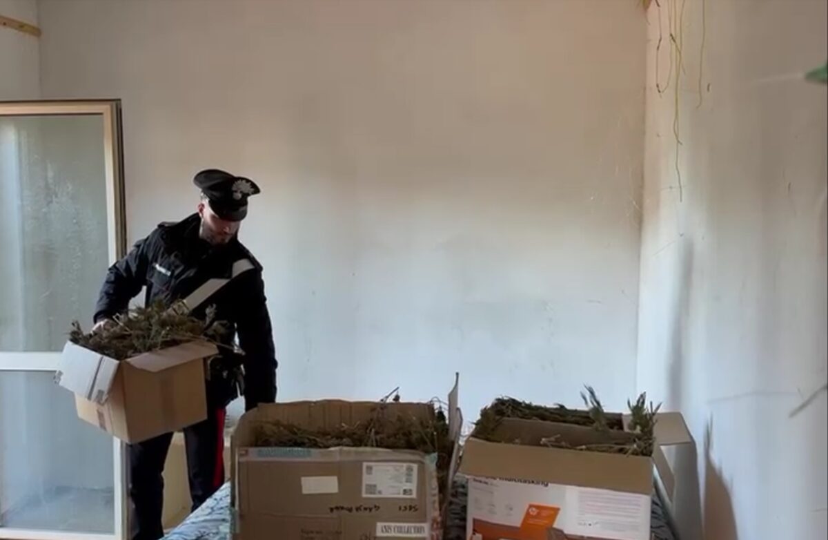 arrestato un 40enne italiano gravemente indiziato di detenzione illecita di sostanze stupefacenti