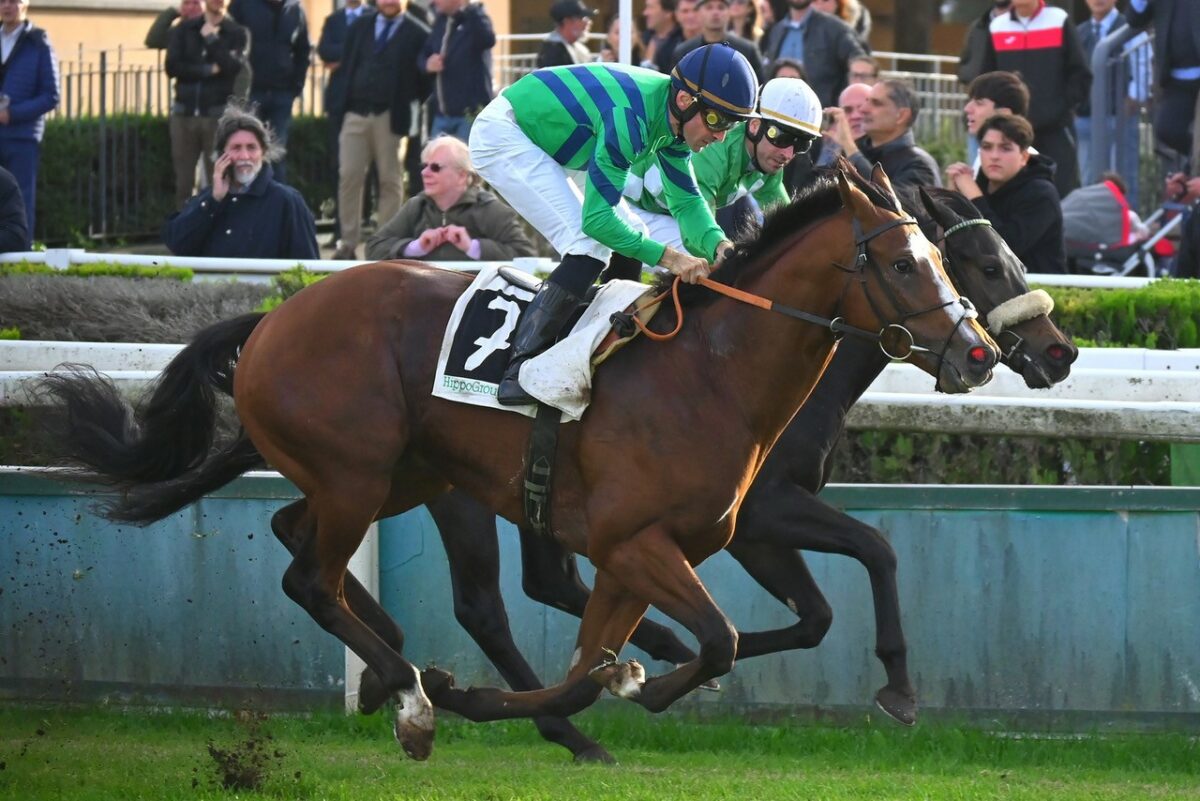 In fondo ai 1800 metri Vargiu vince con Master nel Premio Berardelli