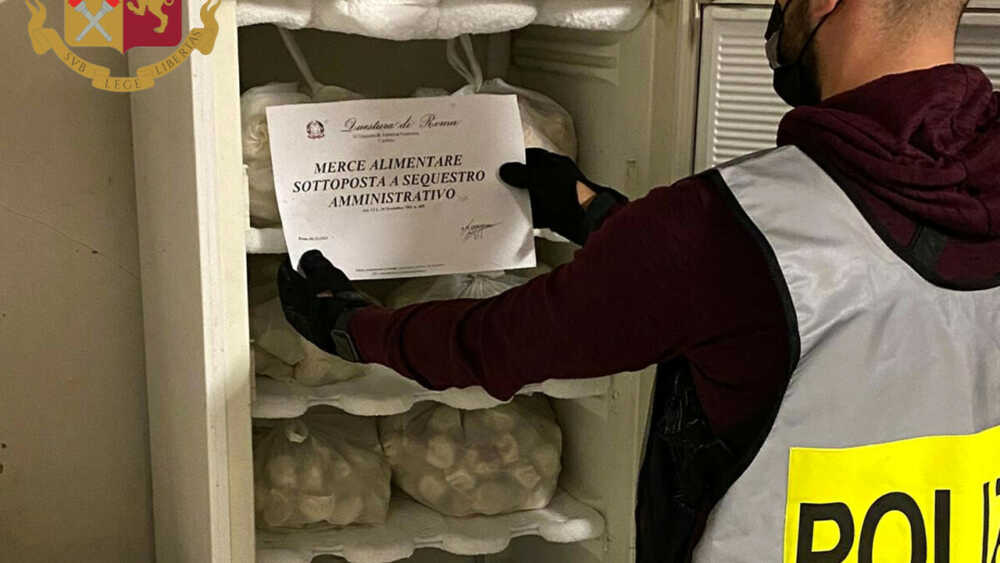 Escrementi di topo e insetti