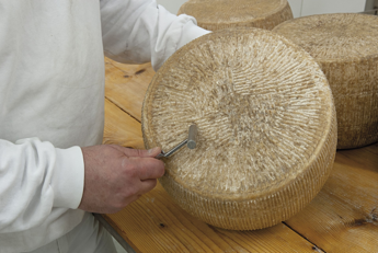 Storico primato dell'Italia sul podio dei migliori 100 formaggi al mondo