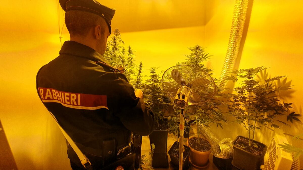 arrestato un cittadino romano per traffico, produzione e detenzione di sostanze stupefacenti