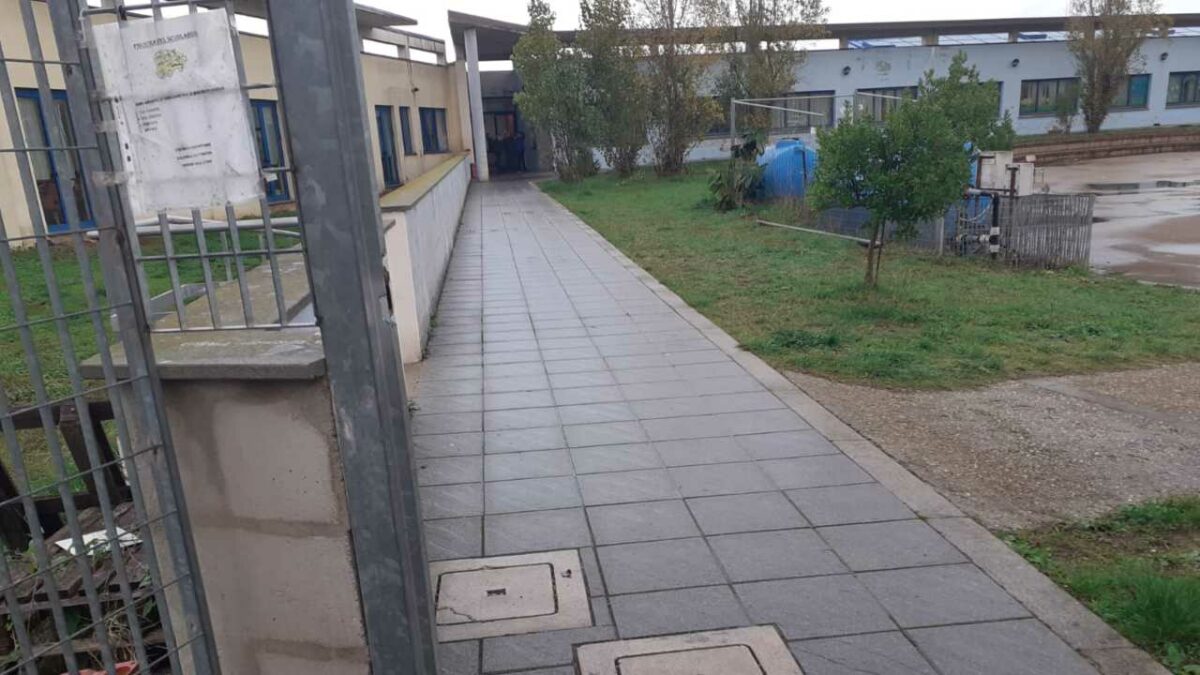 Topi a scuola chiusa una mensa