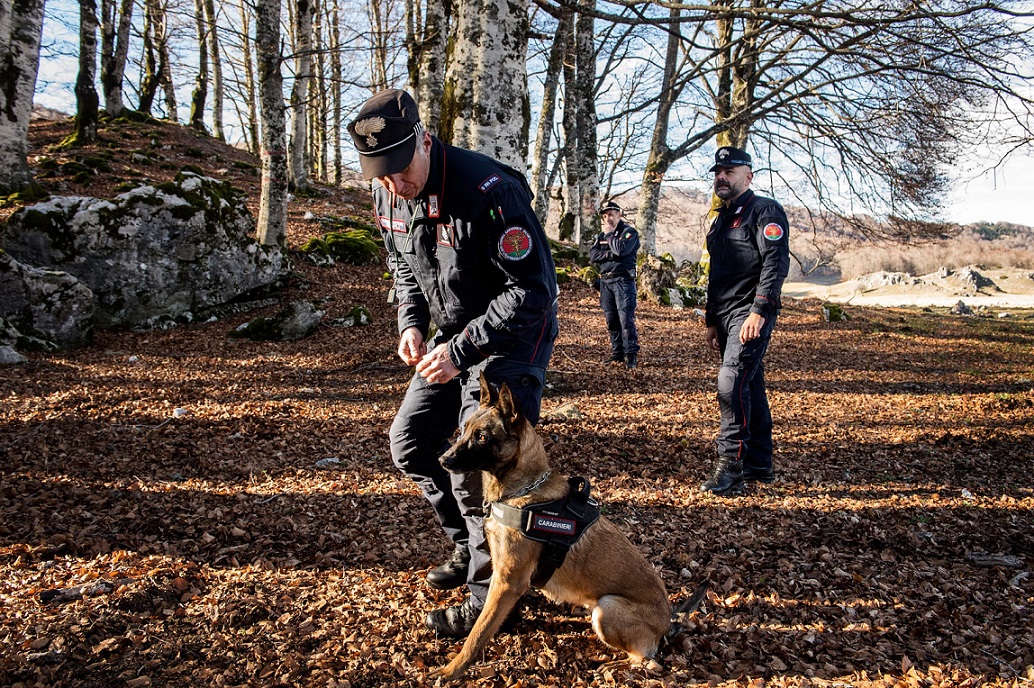 Il Comando Carabinieri Forestale “Lazio” presenta i risultati del 2023