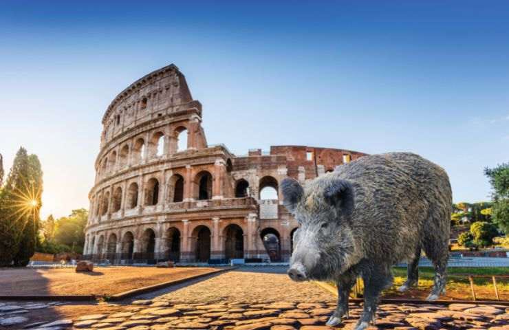 Cinghiali al Teatro de’ Servi dal 16 al 28 gennaio