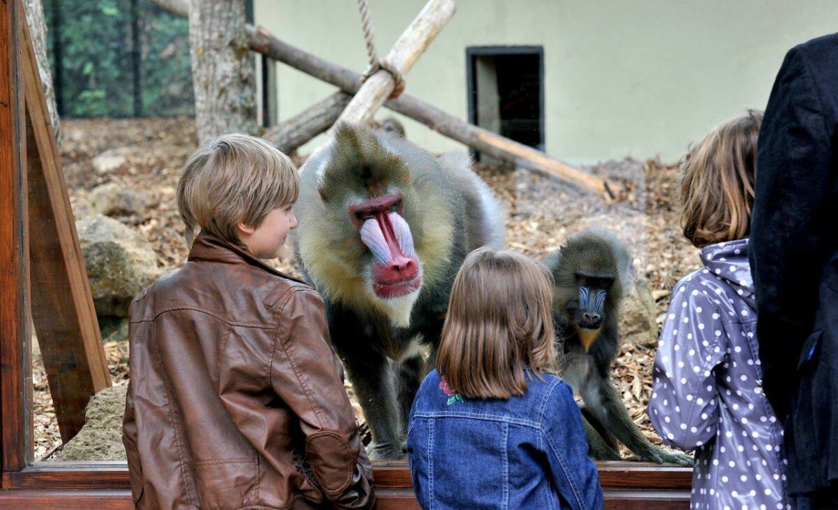 Domenica di Carnevale al Bioparco