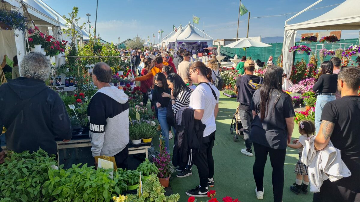 La Mostra Agricola CampoVerde dal 25 aprile al 1° maggio ad Aprilia