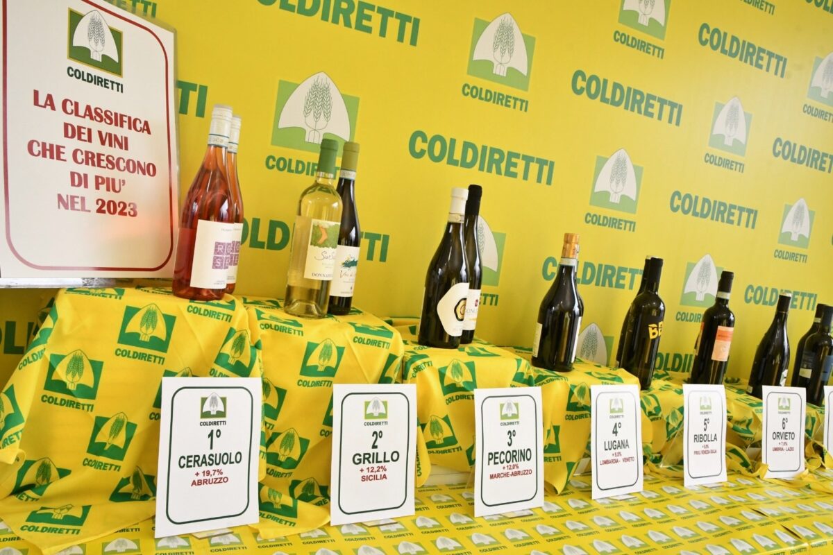 I vini autoctoni fanno segnare i maggiori incrementi delle vendite
