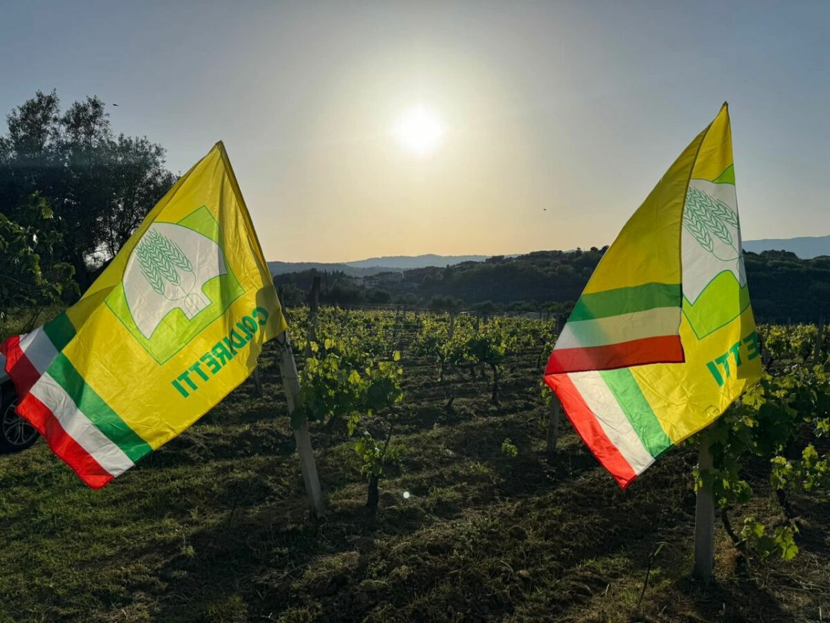 La fauna selvatica incontrollata contro l’agricoltura italiana