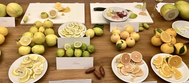 All'Accademia di Francia a Roma evento sul tema del limone il 22 aprile
