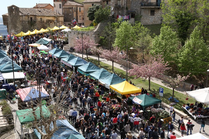 Sagra del carciofo a Sezze