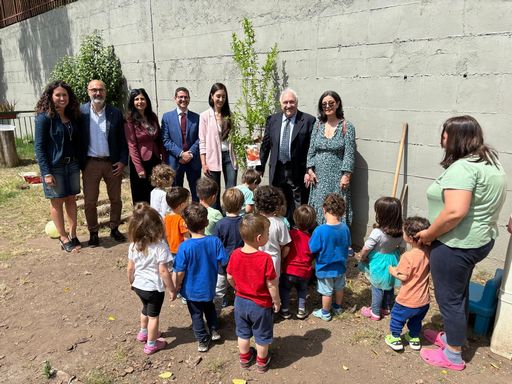 Un albero di melograno in più a Roma