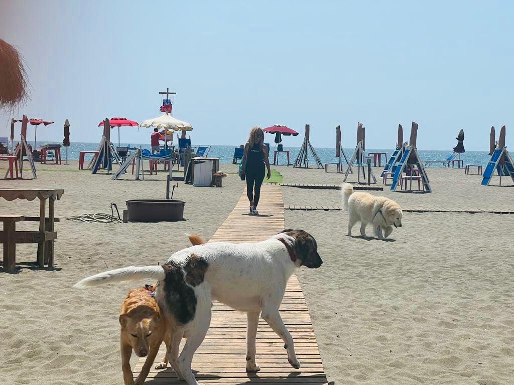 Il Baubeach® di Maccarese al via