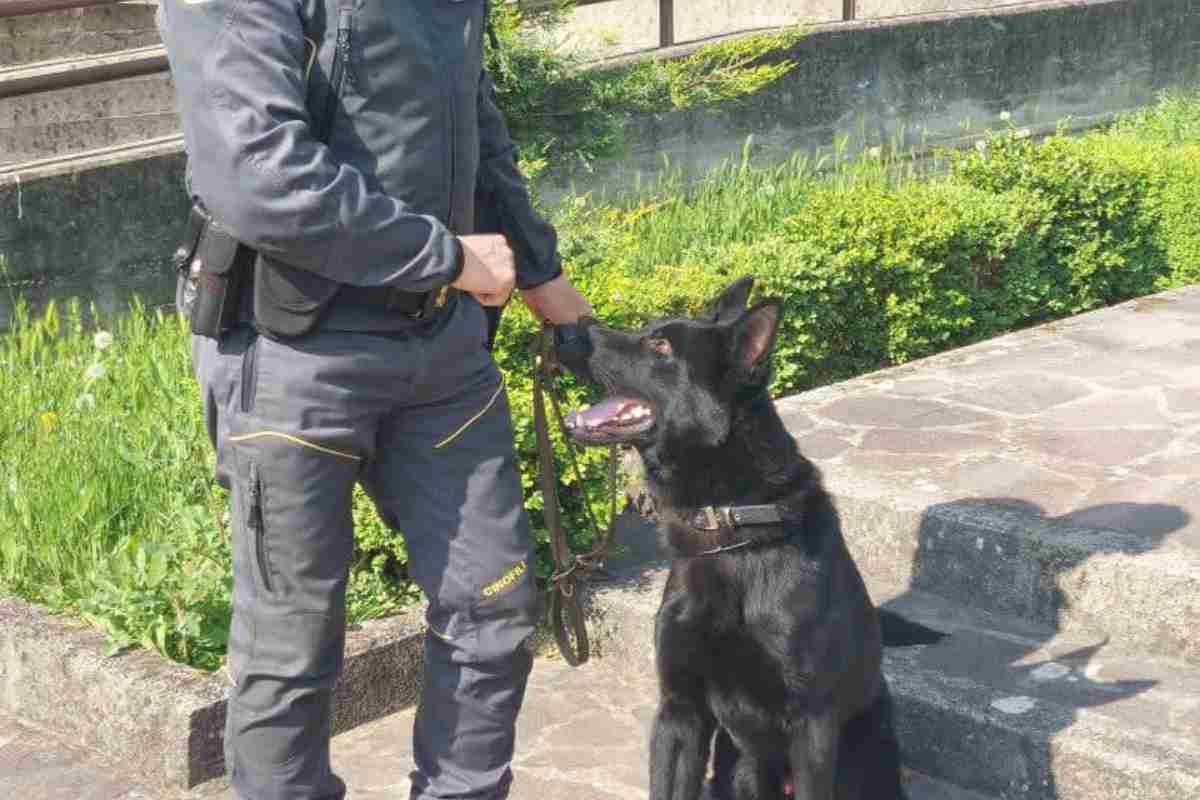 Rinvenuta droga grazie a Ice