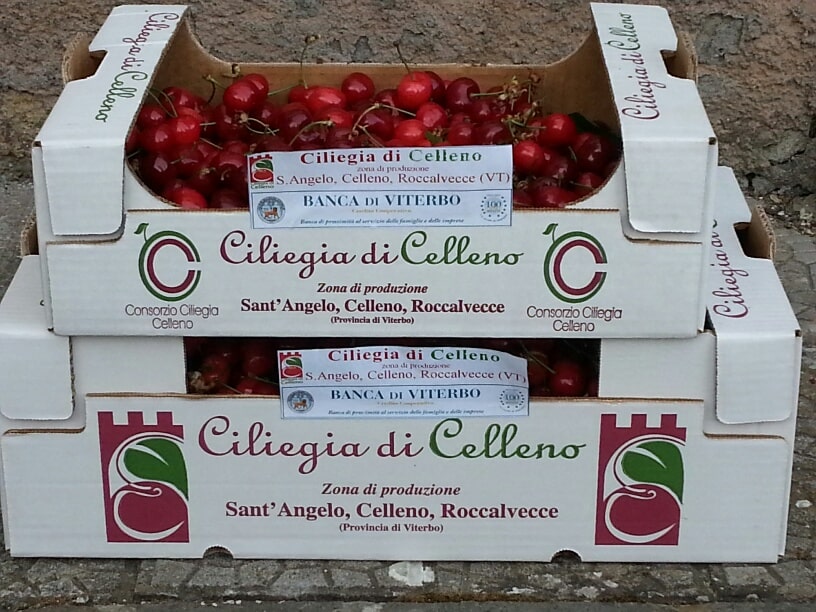 La Festa delle ciliegie di Celleno torna dal 31 maggio al 2 giugno